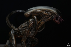 Alien Dog 1/3 (2019)