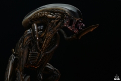 Alien Dog 1/3 (2019)