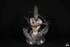 Alien-Rebirth-1