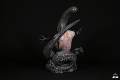 Alien-Rebirth-5