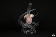 Alien-Rebirth-6