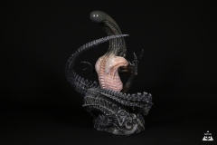 Alien-Rebirth-8