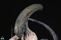 Alien-Rebirth-macro-15