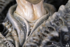 Alien-Rebirth-macro-2