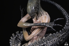 Alien-Rebirth-macro-20