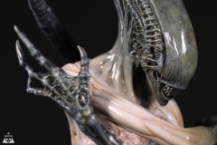 Alien-Rebirth-macro-3