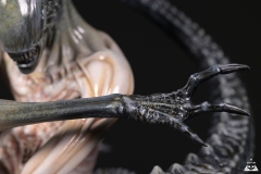 Alien-Rebirth-macro-4