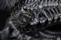 Alien-Rebirth-macro-8