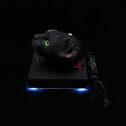 Cybercat