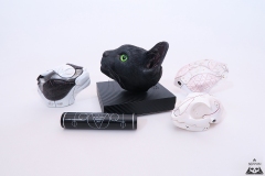 Cybercat 1/1 (2018)