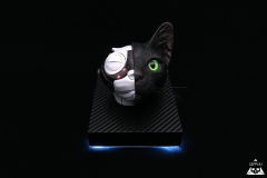 Cybercat 1/1 (2018)