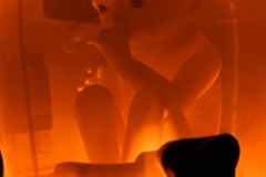 BB Pod (2020)